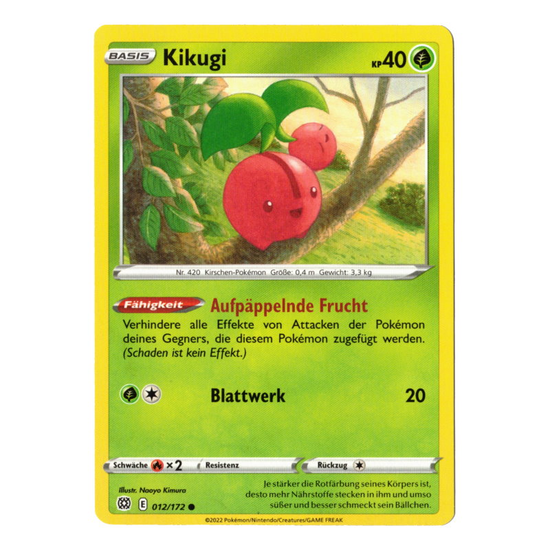 Strahlende Sterne 012 - Kikugi