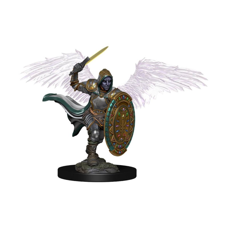 Dungeons & Dragons - Paladin (Aasimar, männlich)
