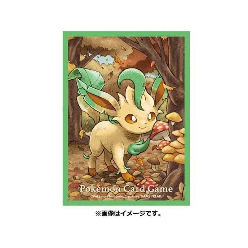 Pokémon Kartenhüllen Folipurba (64 Stück)